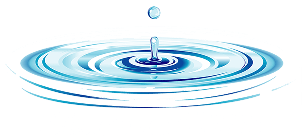 Discover WPS Logo